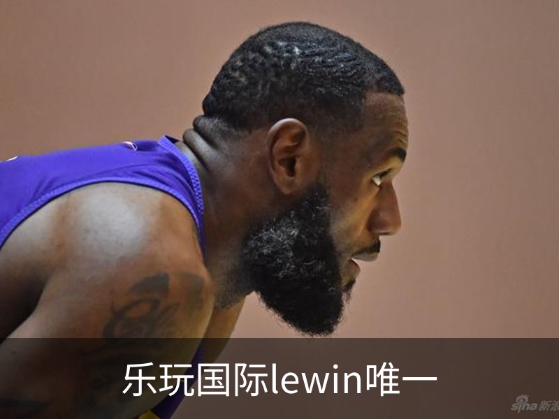 乐玩国际lewin唯一概况
